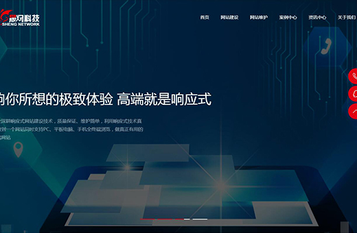 广州晟网信息科技有限公司案例