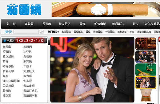 茄园网批发案例